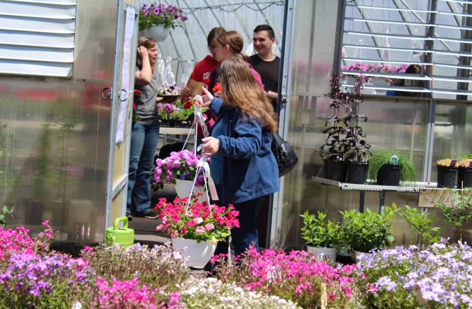 A steady stream of customers visited the FFA-Agriscience greenhouse. The plant sale is the group's only fundraiser to provide funds for students attending conferences and events.