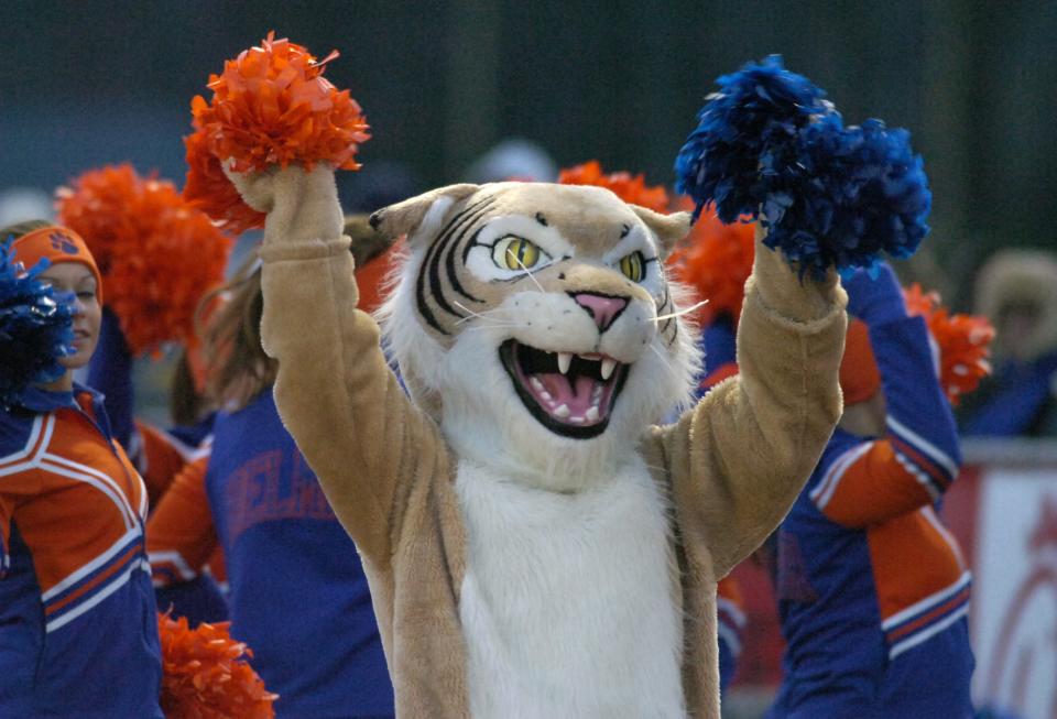 The Delmar Wildcat celebrates a state football title.