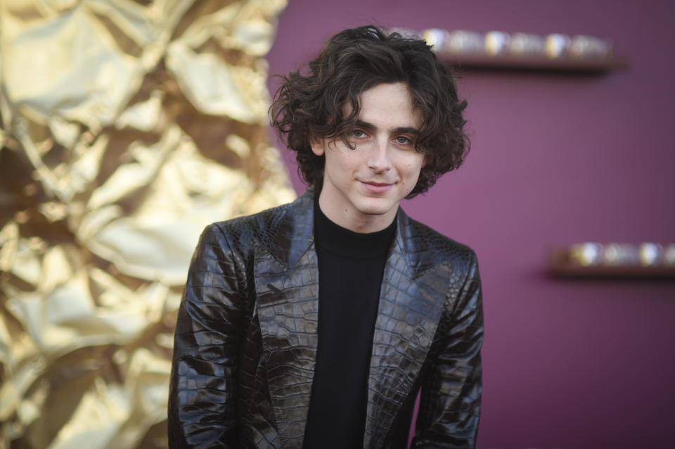 Timothee Chalamet arrives at the premiere of "Wonka" on Sunday, Dec. 10, 2023, at Regency Village Theatre in Westwood, Calif. (Photo by Richard Shotwell/Invision/AP)