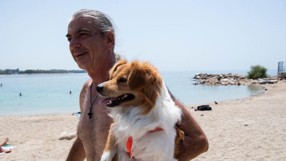 Am Strand in Athen: Menschen und Tiere leiden unter der Hitze: