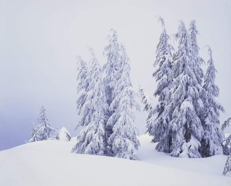 Crater Lake National Park, Oregon