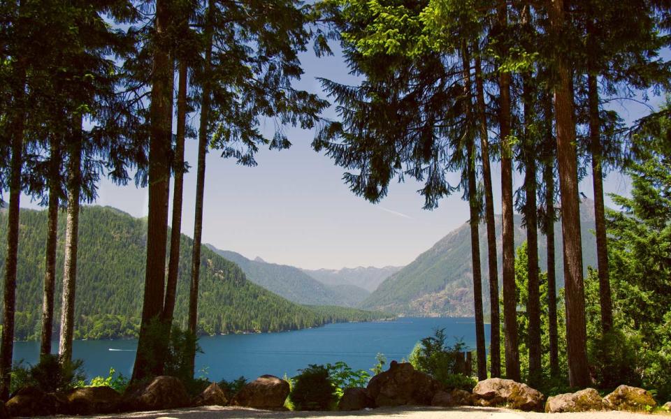 Olympic National Park and Forest, Washington