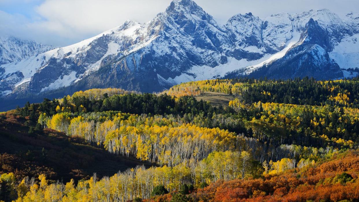 snowy mountain and trees in rural landscape