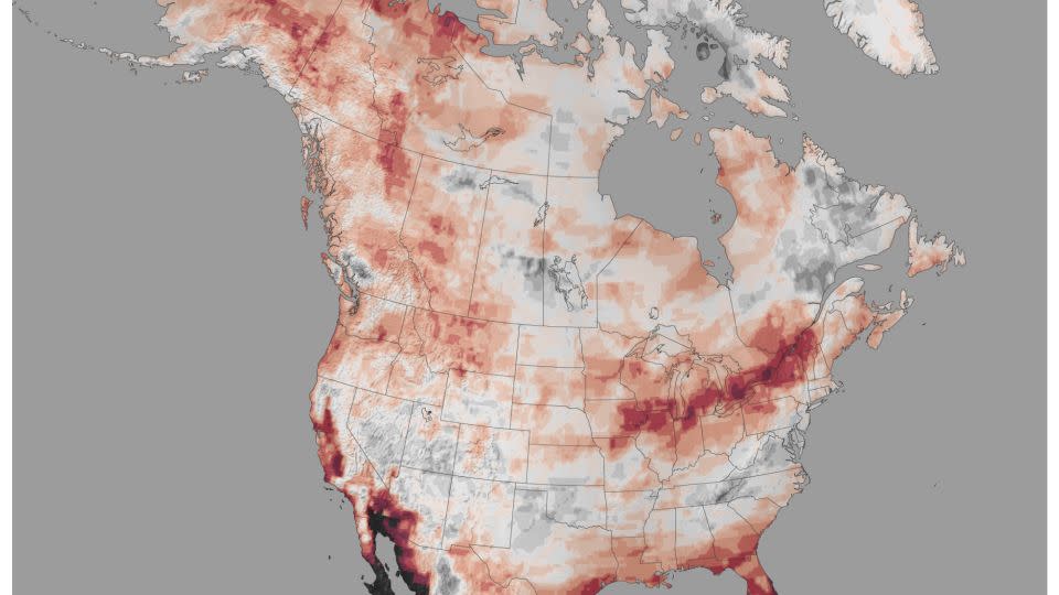 The number of years with below-average snowfall during the 13 moderate-to-strong El Niño winters (January-March average) since 1959. Red shows locations where more than half the years had below-average snowfall; gray shows locations where below-average snowfall happened in less than half the years studied. - NOAA Climate.gov