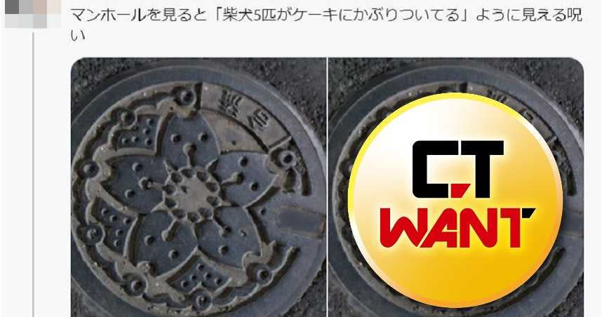 日本東京下水道的人孔蓋圖案，看起來像是5隻柴犬在吃蛋糕。（圖／翻攝自nayuhini Twitter）