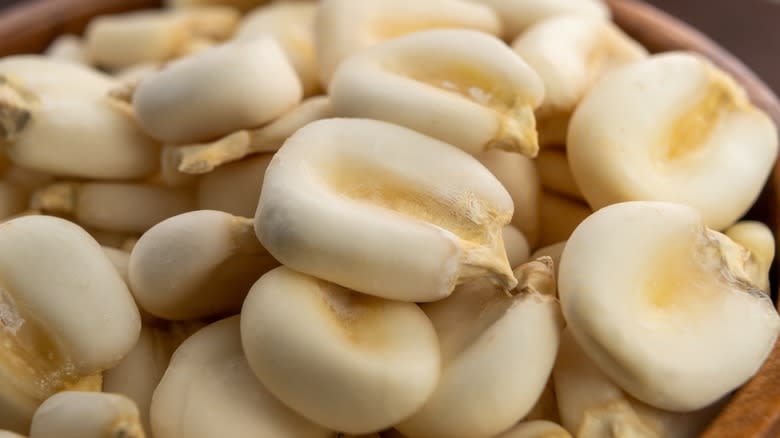 Dried white corn kernels