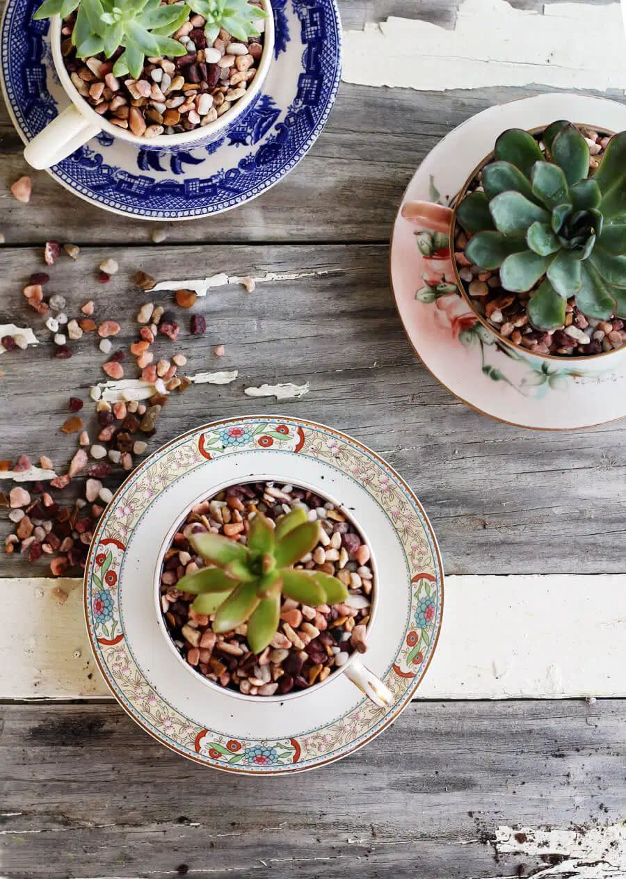 teacup diy planters