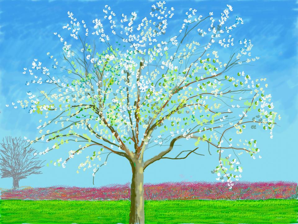 The 116 identically sized iPad paintings confine themselves to the gardens and fields immediately surrounding Hockney’s house in Normandy and herald the arrival of spring© David Hockney