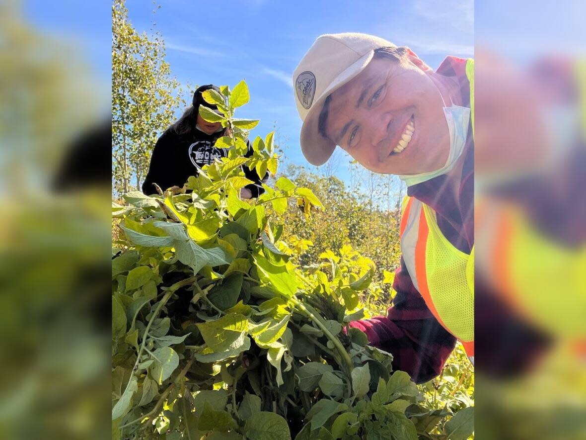 Tsimshian farmer Jacob Beaton, right, shows off his first harvest of Ozette potatoes at his Tea Creek Farm in Kitwanga, B.C. (Tea Creek Farm/Instagram - image credit)