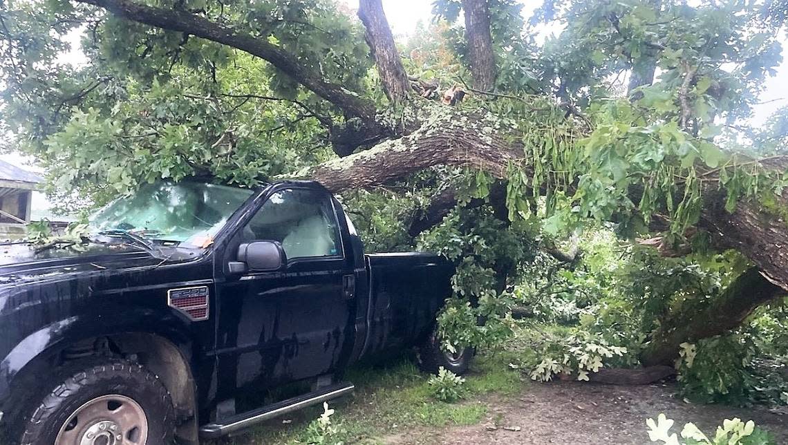 Ran-Lew Dairy farm staff and volunteers are looking to replace farmer Randy Lewis’s 2008 F250 truck. The truck was totaled May 14 when a tree fell on it at the farm.