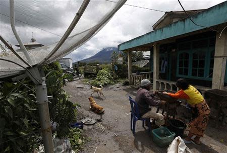 Villagers grind coffee beans as ash spews from Mount Sinabung at Kebayakan village in Karo district, Indonesia's North Sumatra province December 1, 2013.REUTERS/Beawiharta