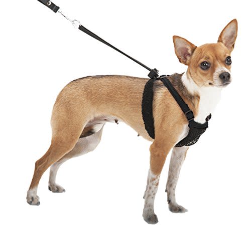 Sporn No-Pull Dog Harness