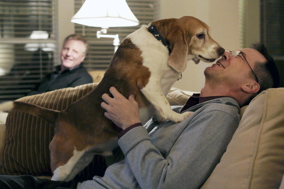 In this Feb. 7, 2014 photo, Mark Phariss, left, watches as Victor Holmes gets kisses from Jake, one of their three beagles, at their home in Plano, Texas A federal judge is expected to hear arguments Wednesday, Feb. 12, 2014, in a lawsuit brought by two homosexual couples who say the Texas Constitution’s ban on gay marriage is unconstitutional because it denies them the right to be treated like everyone else. (AP Photo/The San Antonio Express-News, Lisa Krantz) RUMBO DE SAN ANTONIO OUT; NO SALES; MAGS OUT