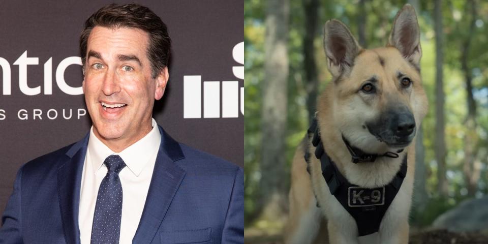 Rob Riggle voices a character in "Strays."