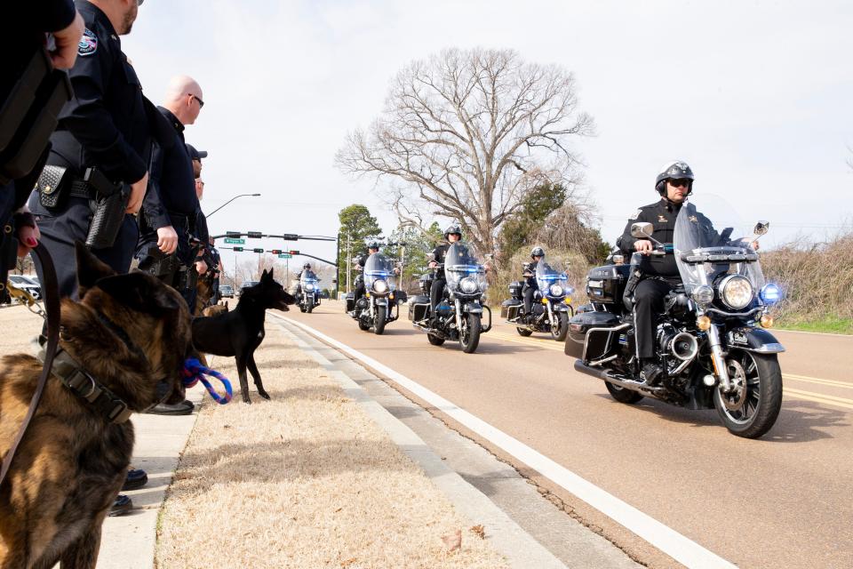 K9 officers and deputies from various departments watch as a procession escorts the body of DeSoto County Sheriff's Department K9 officer Luca to a service for him held at Longview Point Baptist Church in Hernando, Miss., on Wednesday, February 28, 2024. Luca was released after a suspect fleeing in a car was brought to a stop by deputies and upon being released the person shot Luca.