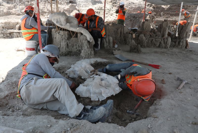 Archaeologists from the National Institute of Anthropology and History (INAH) work at a site where they are unearthing remains of mammoths, in Zumpango