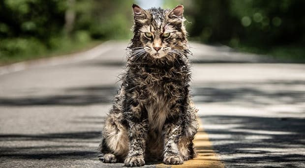 Church the cat in the classic horror movie remake "Pet Sematary" (2019)<p>Paramount Pictures</p>