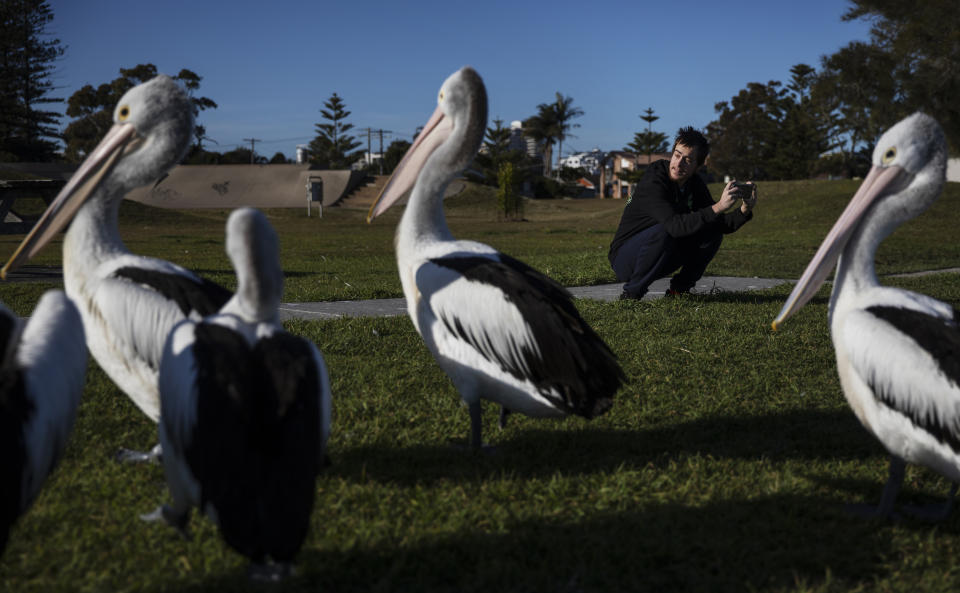 Sam Ware, 22, takes photos of pelicans while out on a morning walk from the hostel where he is staying at The Entrance, Central Coast, Australia, Thursday, July 25, 2019. Sam was 19 when his opioid addiction began, a good kid with a good job as a factory machine operator. He loved photography and walking in the woods. He had little interest in drinking and none in drugs. (AP Photo/David Goldman)