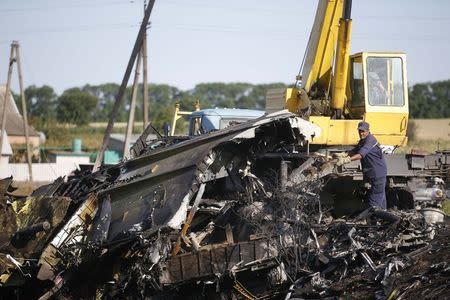 A member of the Ukrainian Emergencies Ministry and a crane operator work at the crash site of Malaysia Airlines Flight MH17, near the village of Hrabove, Donetsk region, July 20, 2014. REUTERS/Maxim Zmeyev