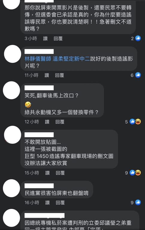 （翻攝自林靜儀臉書）