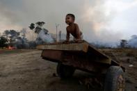 Pictures of the Year: Fires in the Amazon: a barrier to climate change up in smoke