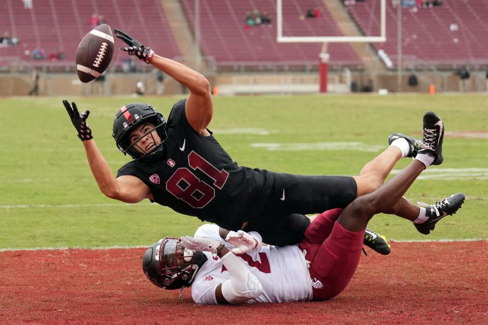 Stanford wide receiver Brycen Tremayne is unable to make a catch against Washington State.