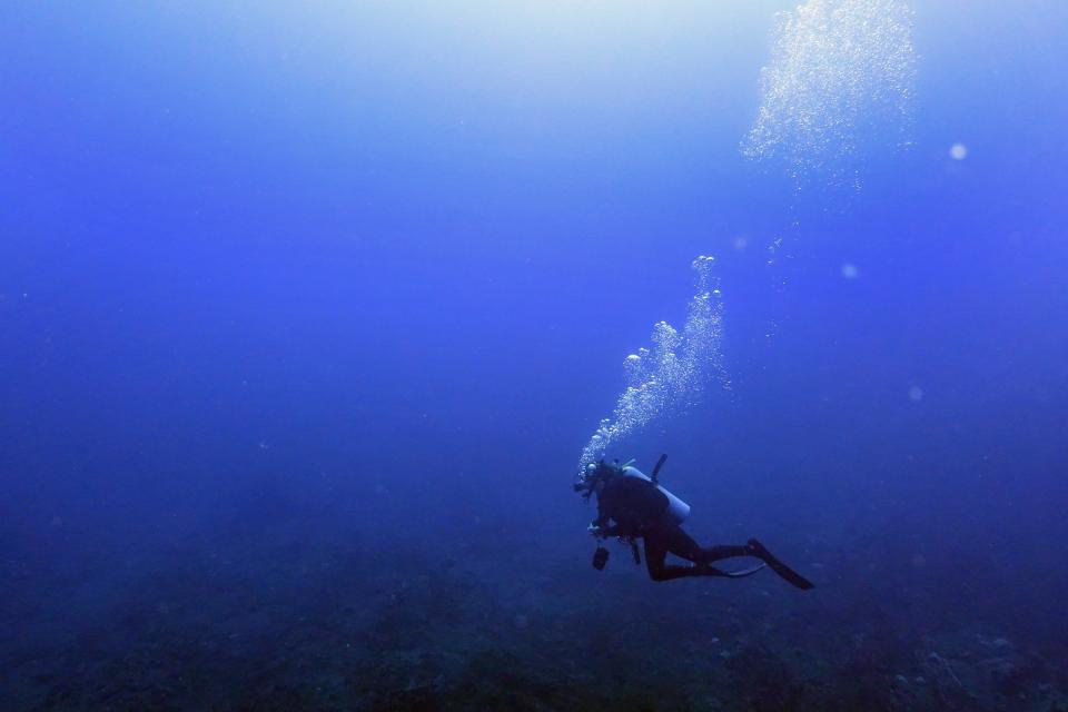 Laura Tinnes scuba dives at the he Flower Garden Banks National Marine Sanctuary in the Gulf of Mexico, Saturday, Sept. 16, 2023. Tinnes, a nurse from Colorado, described rounding a bluff on her dive this fall and being surrounded by massive reefs as schools of fish darted through. "It's like a field of flowers," she said. (AP Photo/LM Otero)