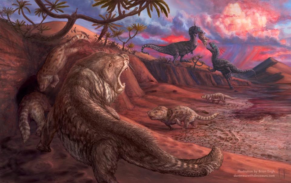 A painting depicting an Early Jurassic scene from the Navajo Sandstone desert preserved at Glen Canyon NRA. Paleontologists worked with artist Brian Engh to provide a technically accurate depiction of the rare, enigmatic tritylodonts discovered in March at Lake Powell.
