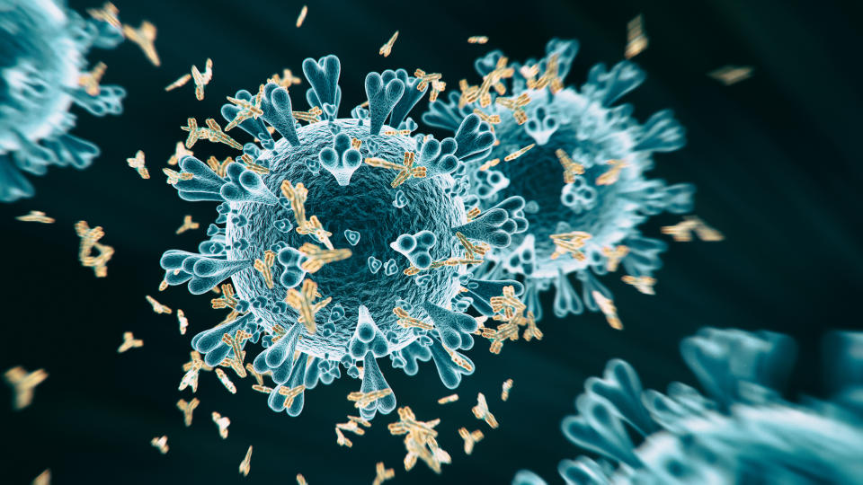 Abs COVID-19 antibody - 3d rendered image structure view on black background.   Viral Infection concept. MERS-CoV, SARS-CoV, ТОРС, 2019-nCoV, Wuhan Coronavirus.  Antibody, Antigen, Vaccine concept.