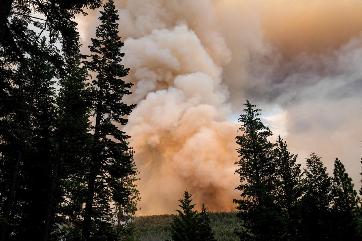 The Dixie Fire burns in Lassen National Forest, Calif., near Jonesville on Monday, July 26, 2021.