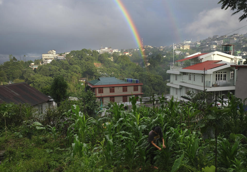 A rainbow forms in the sky, as Naga girl Neichutuonuo Yhome, 23, works in a vegetable garden she started with her sisters in the early stages of the coronavirus lockdown in Kohima, capital of the northeastern Indian state of Nagaland, Monday, June 22, 2020. Their patchwork garden now has half a dozen variety of vegetables, and bean vines crawling up a bamboo trellis. The rainbow represents a symbol of hope to the Nagas, an indigenous people spread over several northeastern Indian states and across the border in Myanmar. (AP Photo/Yirmiyan Arthur)