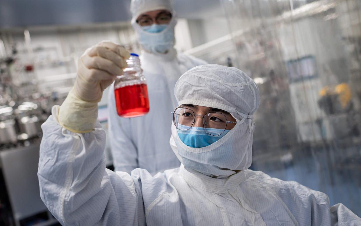 An engineer examines monkey kidney cells as he performs a test on an experimental Covid-19 vaccine in Beijing - Nicolas Asfouri/AFP