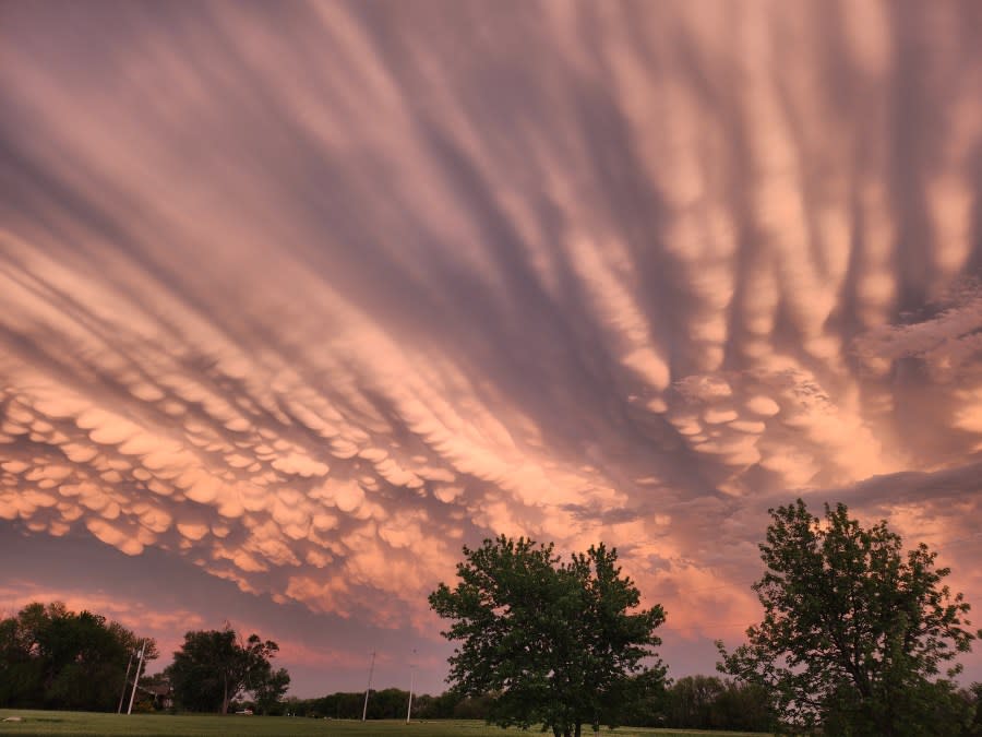 Sedgwick sunset on April 30, 2024 (Courtesy: Maggie Rohr)