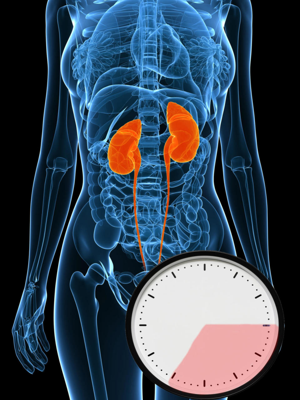 3 to 7 p.m.: Kidneys and bladder