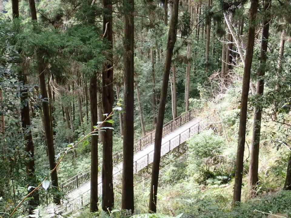 藤枝國家森林遊樂區