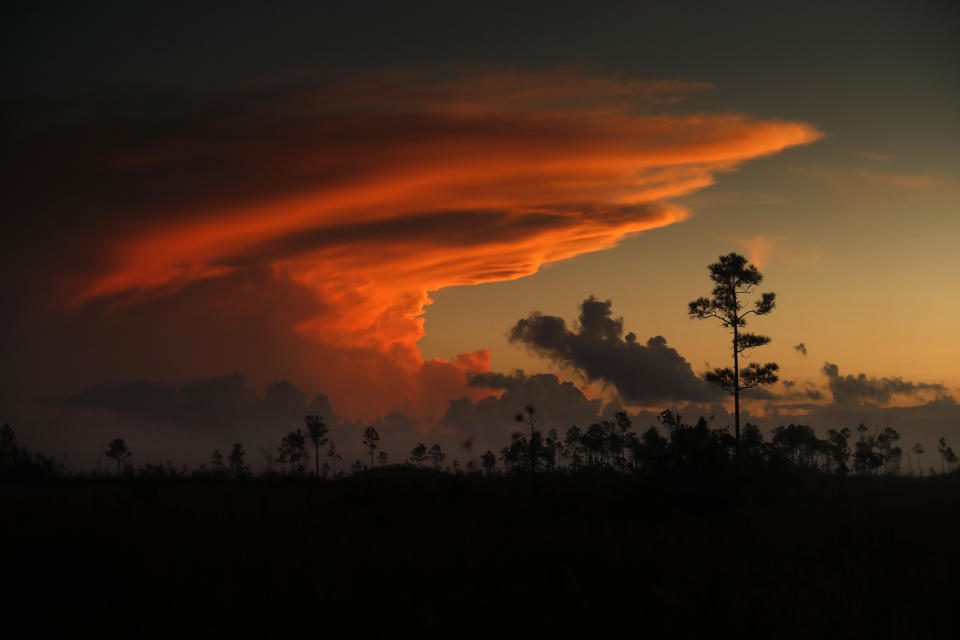 In this Tuesday, Oct. 22, 2019 photo, the first rays of sunlight color clouds over Everglades National Park, near Flamingo, Fla. The park receives nearly 60 inches of rain annually. “Here are no lofty peaks seeking the sky, no mighty glaciers or rushing streams wearing away the uplifted land,” President Harry S. Truman said in a Dec. 6, 1947, address dedicating the Everglades National Park. “Here is land, tranquil in its quiet beauty, serving not as the source of water, but as the last receiver of it. To its natural abundance we owe the spectacular plant and animal life that distinguishes this place from all others in our country." (AP Photo/Robert F. Bukaty)