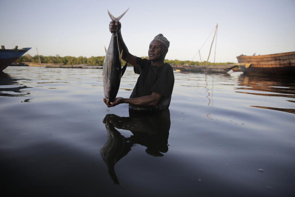 FILE - Fisherman Kassim Abdalla Zingizi holds a yellowfin tuna after a catch in Vanga, Kenya, on June 14, 2022. Indian Ocean countries who want better safeguards for marine life by updating fishing quotas and restricting harmful catch methods are being resisted by the European Union who has interests in the region, conservation groups say. Officials are gathering in Mombasa, Kenya on Friday Feb. 3 for a meeting of the Indian Ocean Tuna Commission — a group of 30 countries that decide regulations and management of tuna in the ocean. (AP Photo/Brian Inganga)