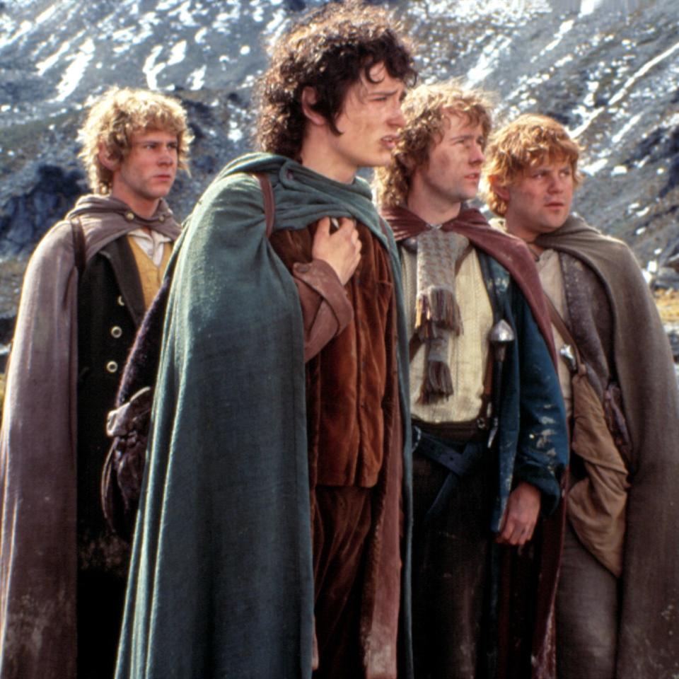 Hobbit characters from Lord of the Rings, in cloaks, standing together in a rocky landscape