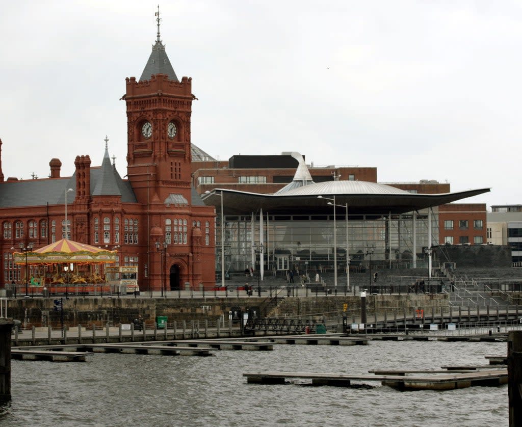 Evidence will be given to the Welsh Parliament’s Petitions Committee (Anthony Devlin/PA) (PA Archive)