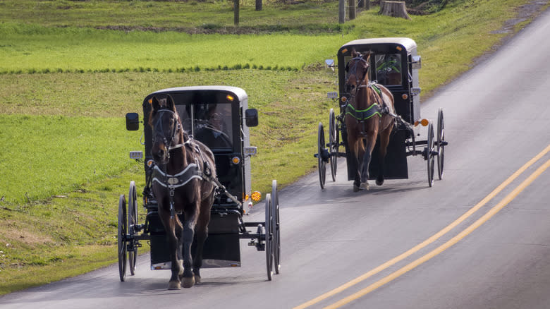 Amish horse and buggy on the road