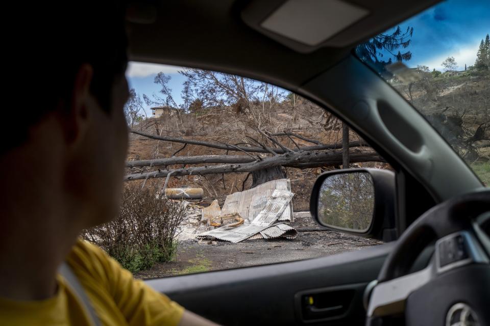 Kyle Ellison drives to the other side of a gorge Wednesday, Sept. 27, 2023, in Kula, Hawaii. to show the damage from wildfires. As high winds whipped burning trees and grass, Ellison and his landlord struggled with plummeting water pressure. Ellison had to wait for pots to slowly fill in the sink before running them to the fire; his landlord wielded a garden hose with little more than a trickle. (AP Photo/Mengshin Lin)