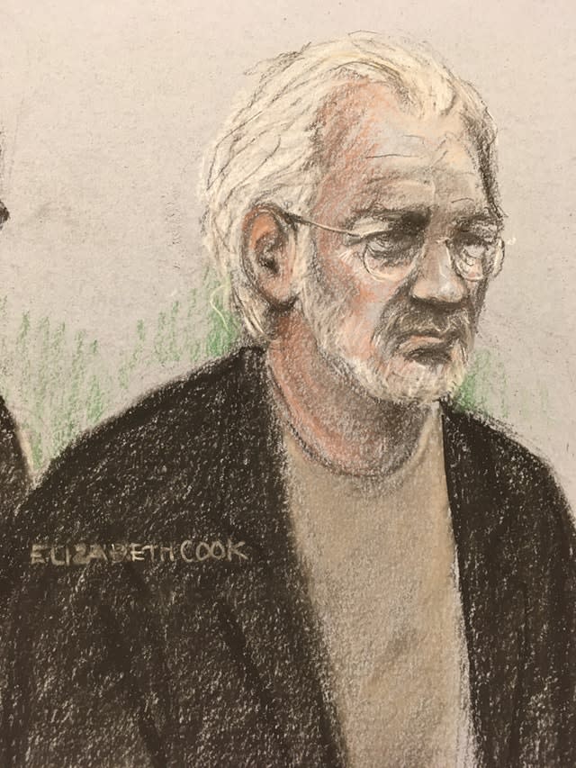 Julian Assange extradition