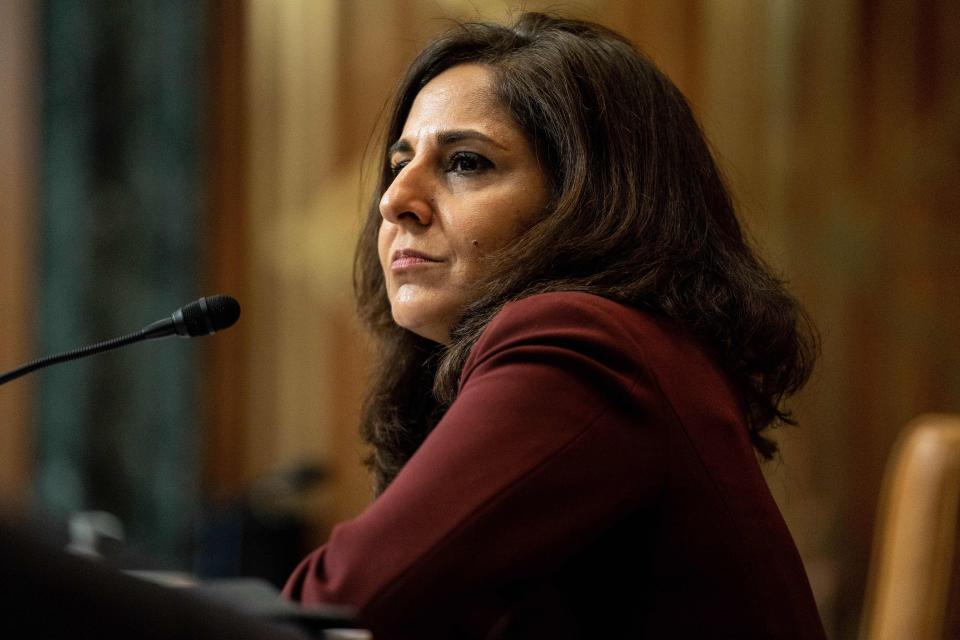 Neera Tanden, President Joe Biden's nominee for director of the Office of Management and Budget, testifies during a Senate Budget Committee hearing on Feb 10.  (Photo: ANNA MONEYMAKER/Getty Images)