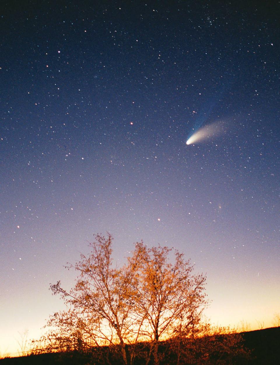 Comet Hale-Bopp as seen from Earth in 1997. The blue ion tail is visible to the top left of the comet. <a href="https://commons.wikimedia.org/wiki/File:Comet-Hale-Bopp-29-03-1997_hires.jpg" rel="nofollow noopener" target="_blank" data-ylk="slk:Philipp Salzgeber;elm:context_link;itc:0;sec:content-canvas" class="link ">Philipp Salzgeber</a>, <a href="http://creativecommons.org/licenses/by-nd/4.0/" rel="nofollow noopener" target="_blank" data-ylk="slk:CC BY-ND;elm:context_link;itc:0;sec:content-canvas" class="link ">CC BY-ND</a>