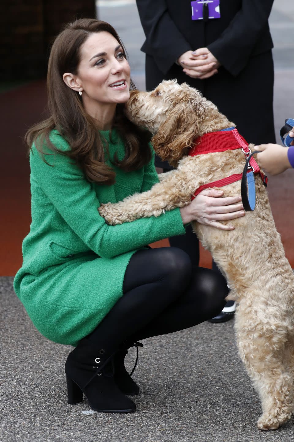 <p>Kate Middleton meets Herbie, Lavender Primary School's friendly cockapoo, during a visit to the school.</p>