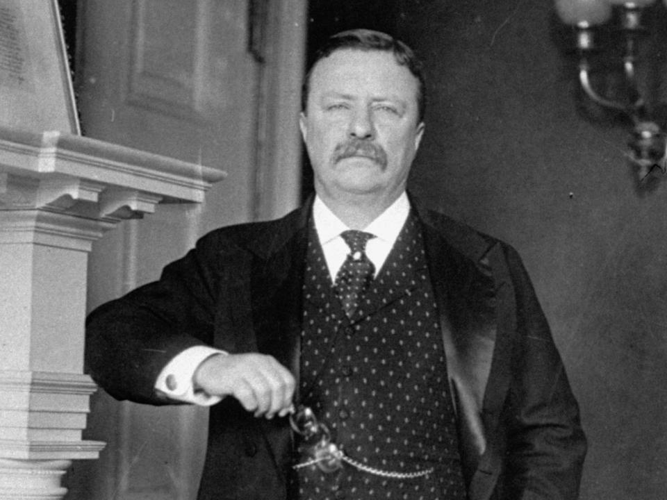 theodore roosevelt