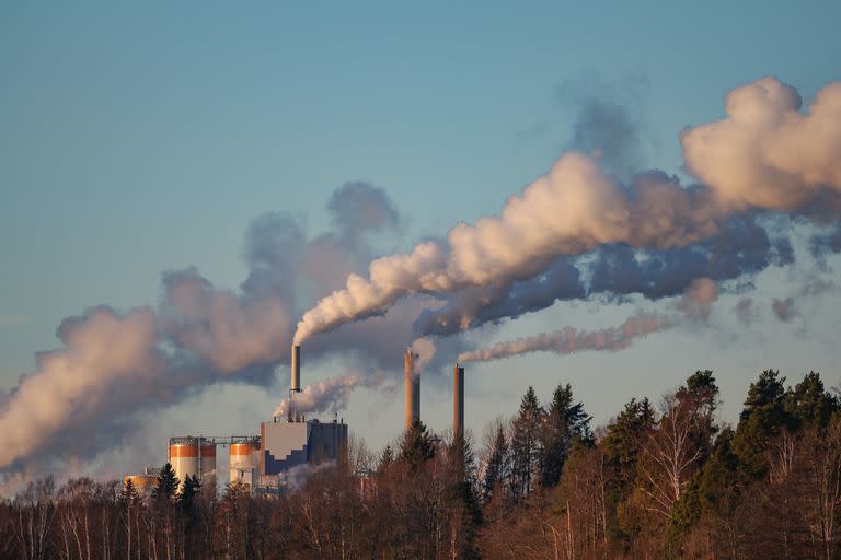 "Con la concentración de los gases de efecto invernadero en la atmósfera, las olas de calor tienden a hacerse más frecuentes y más severas", sostuvo Inés Camilloni - Créditos: @Pexels