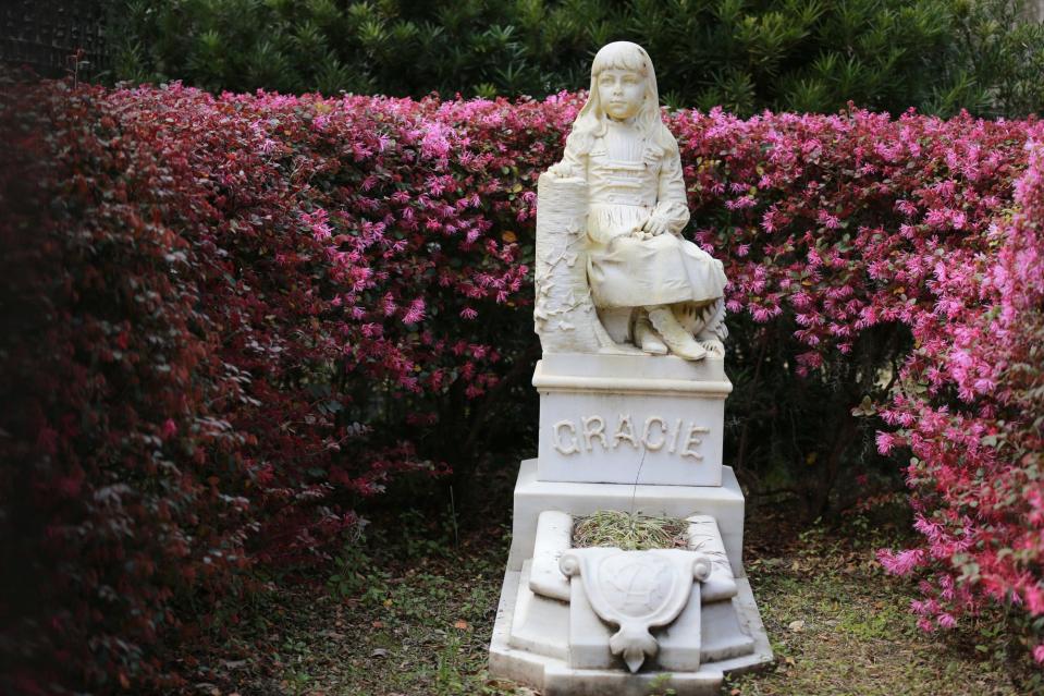 Gracie is surrounded by pink as the azaleas start to bloom at Bonaventure Cemetery. 