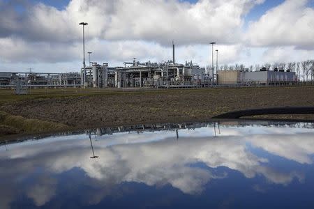 A view of a gas production plant is reflected in the roof of a car in 't Zand in Groningen February 24, 2015. REUTERS/Michael Kooren