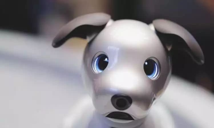 索尼電子狗Aiba是如何撫平人類寂寞的？